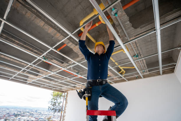 Best Plumbing Inspection Services  in Fullerton, CA